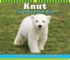 Knut__the_baby_polar_bear