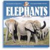 Elephants_for_kids