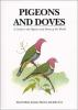 Pigeons_and_doves