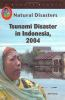 Tsunami_disaster_in_Indonesia__2004