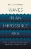 Waves_in_an_impossible_sea