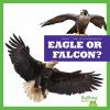 Eagle_or_falcon_