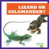 Lizard_or_salamander_