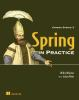 Spring_in_practice