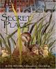 Secret_place