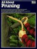 All_about_pruning