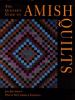 The_quilter_s_guide_to_Amish_quilts