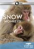 Snow_monkeys