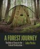 A_forest_journey