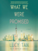 What_We_Were_Promised