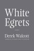 White_egrets