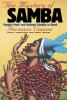 The_mystery_of_samba