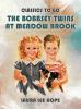 The_Bobbsey_twins_at_Meadow_Brook