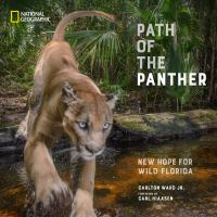 Path_of_the_panther