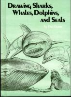 Drawing_sharks__whales__dolphins__and_seals