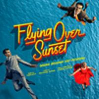 Flying_over_sunset