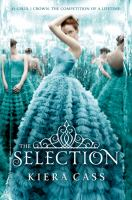 The_selection_stories