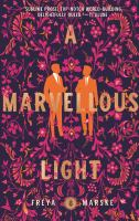A_marvellous_light