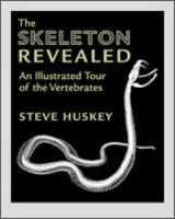 The_skeleton_revealed