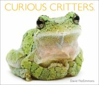 Curious_critters